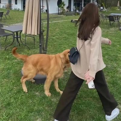 蛮国盗宝记